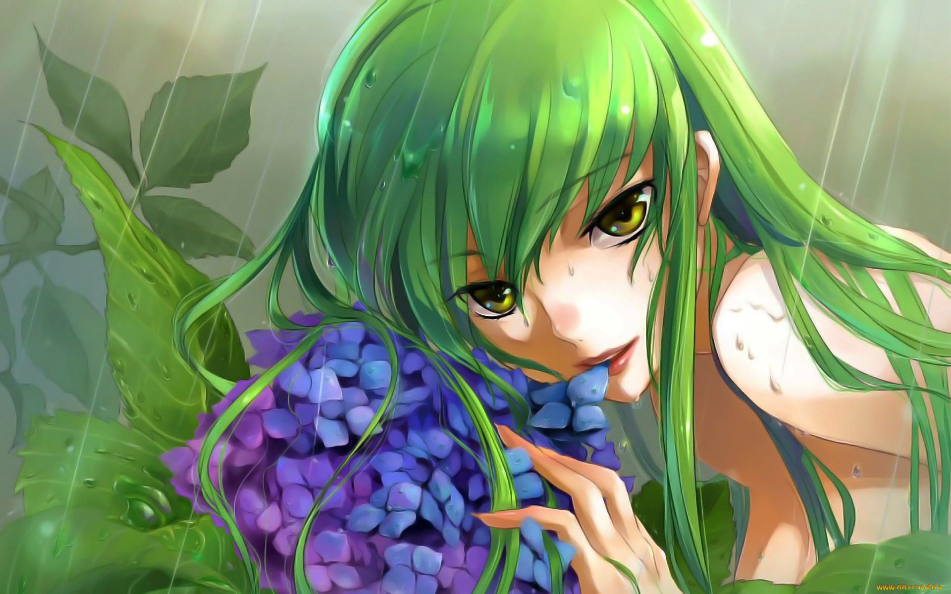 , code, geass